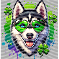 ST PATRICKS DAY-ST 360